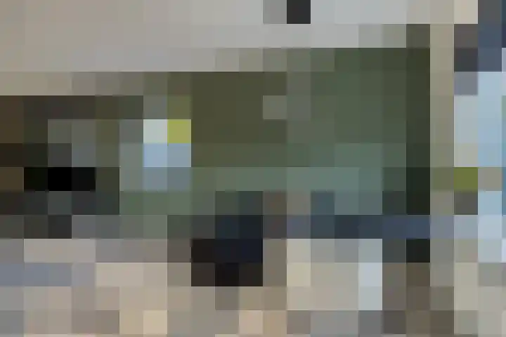 Wensinkstraat 32 b Borne thumbnail 14