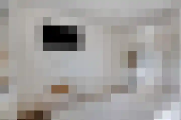 Wensinkstraat 32 b Borne thumbnail 24