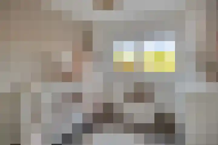 Wensinkstraat 32 b Borne thumbnail 27
