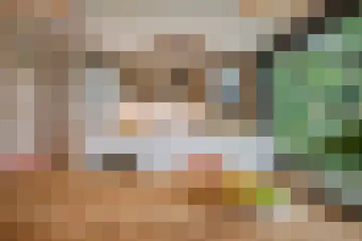 Werckenslaan 4 Venray thumbnail 17