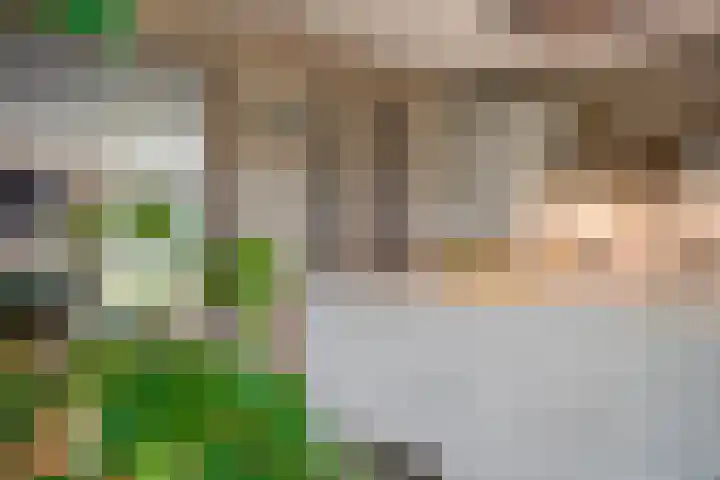 Werckenslaan 4 Venray thumbnail 20