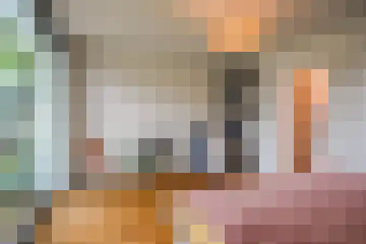 Werckenslaan 4 Venray thumbnail 31