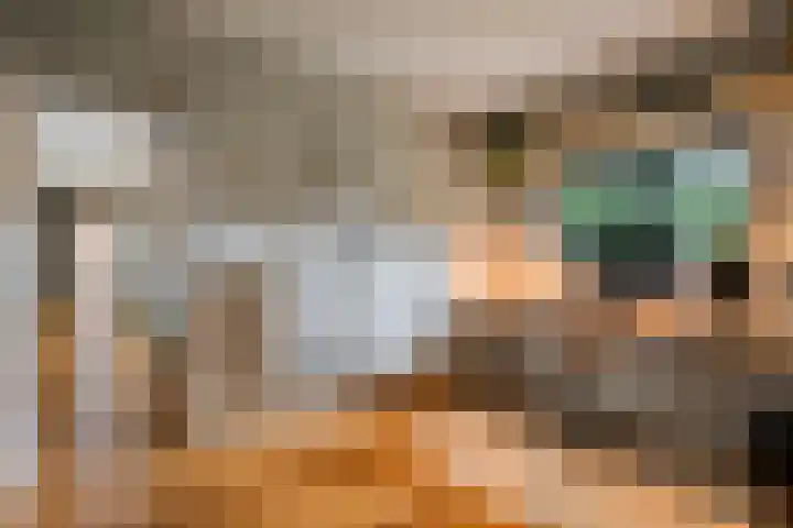 Werckenslaan 4 Venray thumbnail 35
