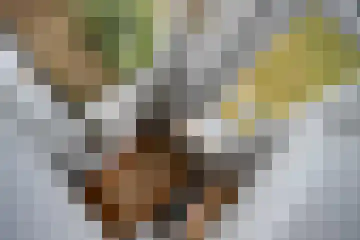 Werckenslaan 4 Venray thumbnail 4
