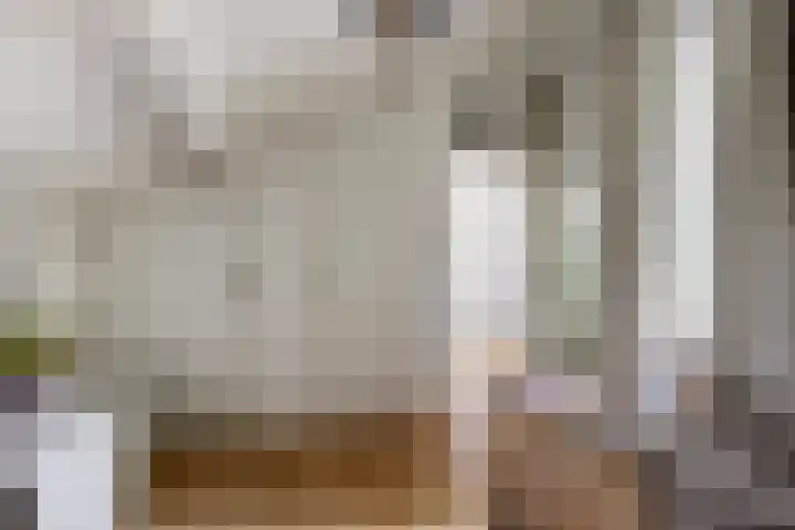 Werckenslaan 4 Venray thumbnail 45