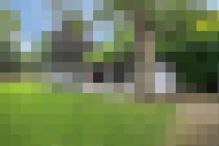 Werckenslaan 4 Venray thumbnail 48