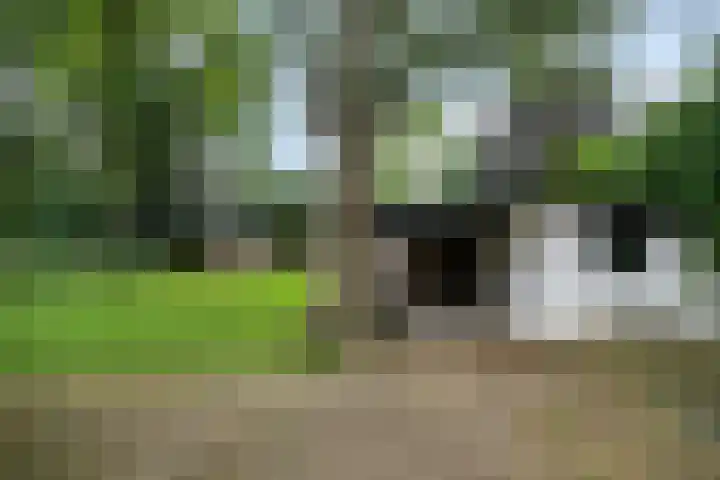 Werckenslaan 4 Venray thumbnail 49