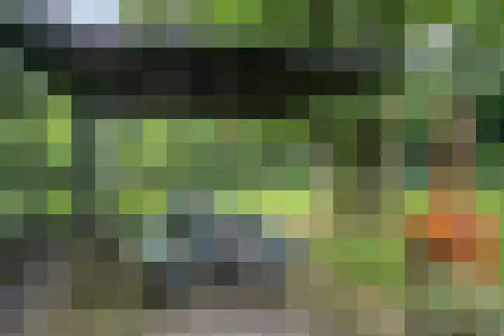 Werckenslaan 4 Venray thumbnail 58