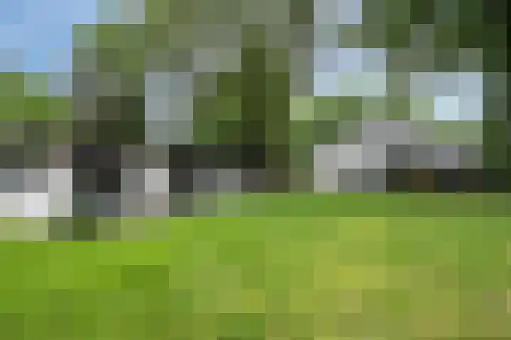 Werckenslaan 4 Venray thumbnail 60