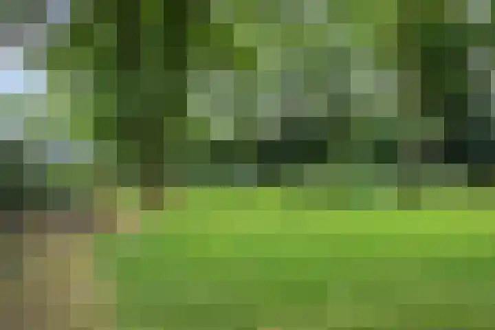 Werckenslaan 4 Venray thumbnail 61