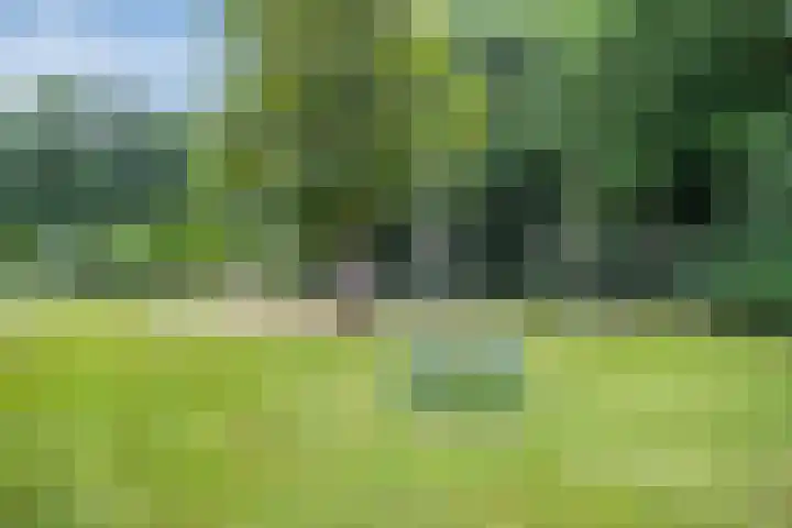 Werckenslaan 4 Venray thumbnail 62