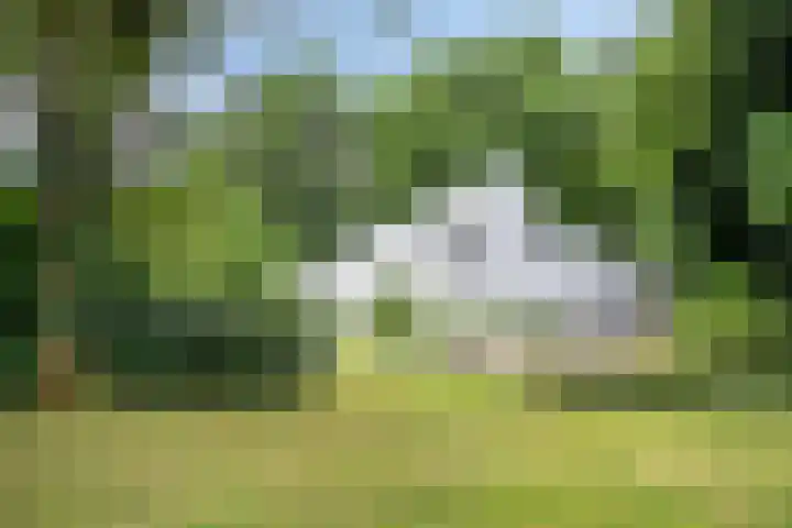 Werckenslaan 4 Venray thumbnail 68
