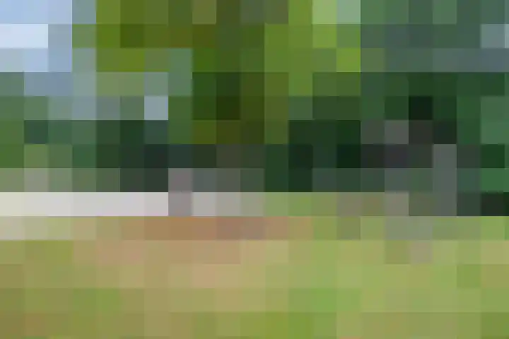 Werckenslaan 4 Venray thumbnail 69