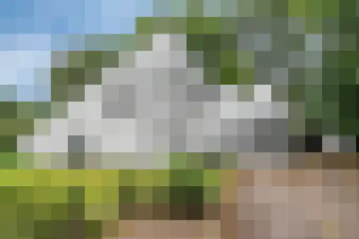 Werckenslaan 4 Venray thumbnail 74