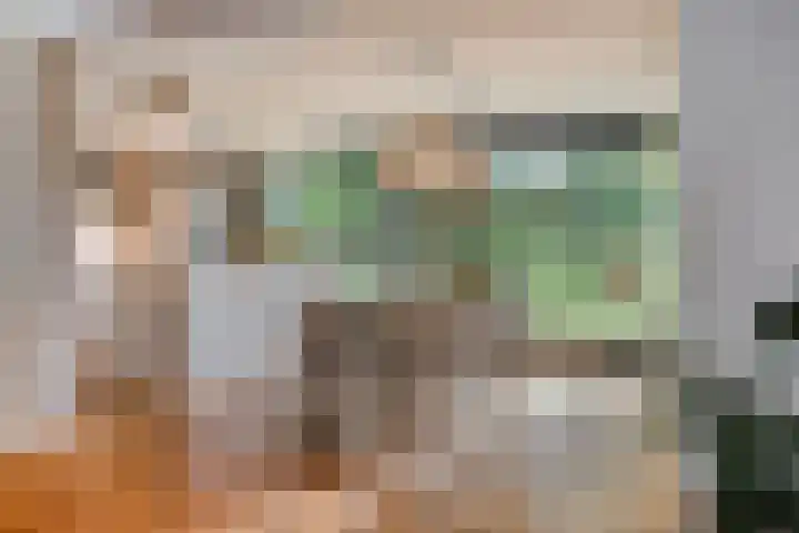 Werckenslaan 4 Venray thumbnail 8