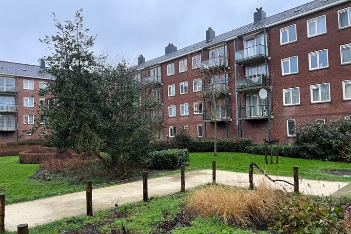 Werengouw 423 in Amsterdam foto