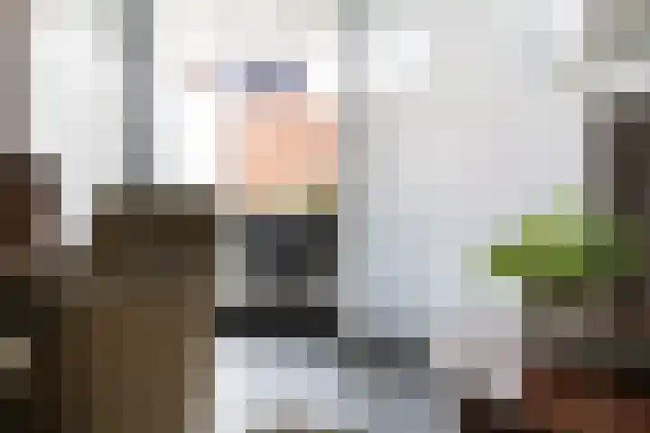 Werf 2 Stramproy thumbnail 12