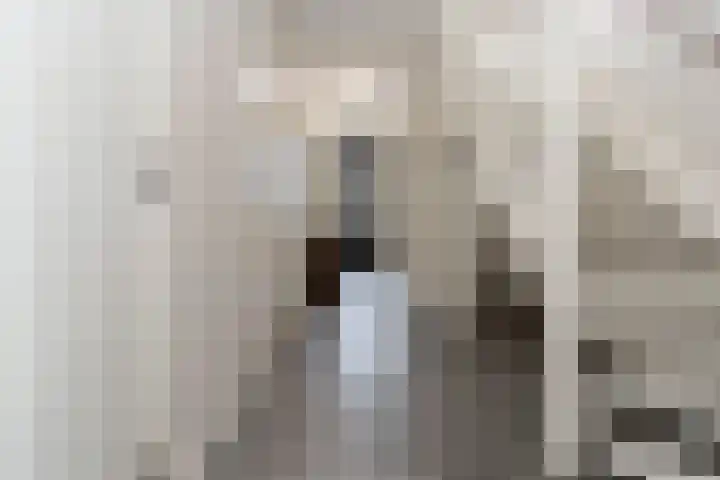 Werf 2 Stramproy thumbnail 20