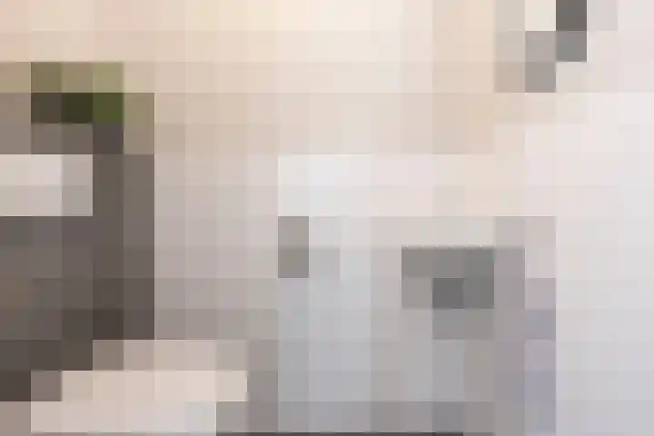 Werf 2 Stramproy thumbnail 22