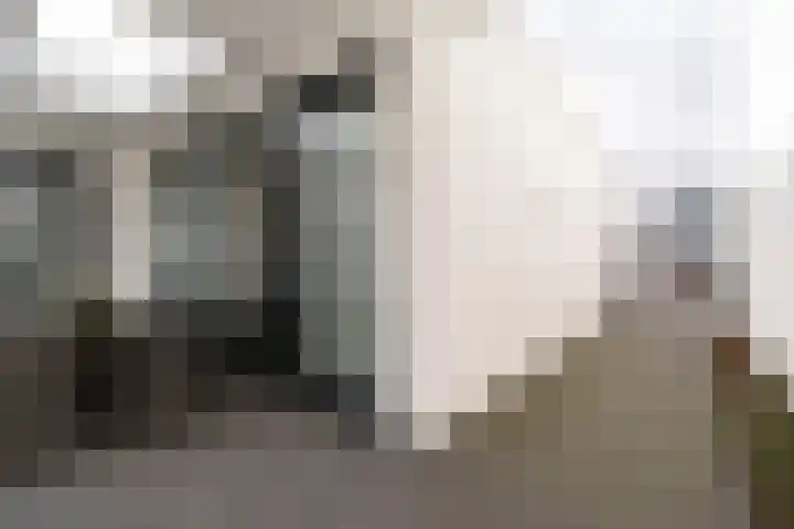 Werf 2 Stramproy thumbnail 29