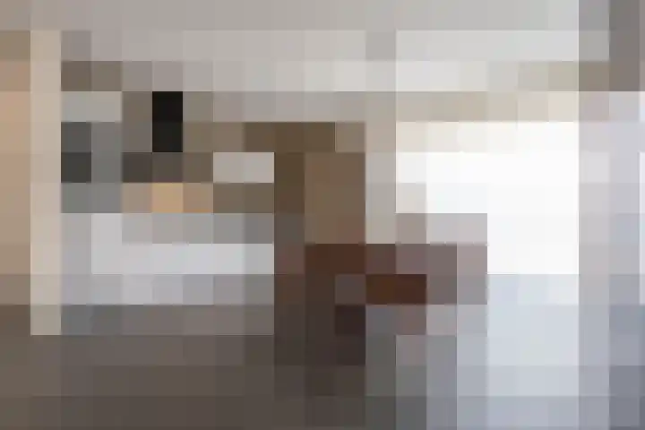 Werf 2 Stramproy thumbnail 7