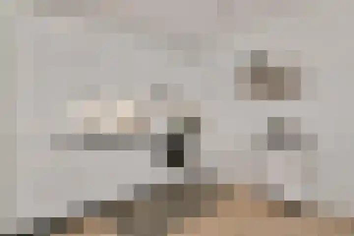 Werfkade 111 Amsterdam thumbnail 10