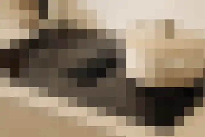 Werfkade 81 Amsterdam thumbnail 11