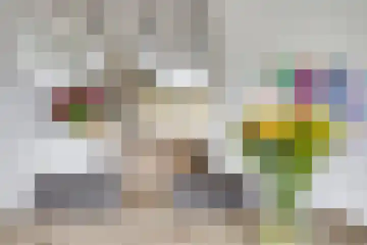 Werflaan 30 Zoetermeer thumbnail 11