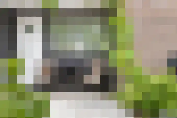 Werflaan 30 Zoetermeer thumbnail 14