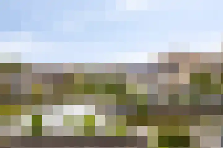 Werflaan 30 Zoetermeer thumbnail 18
