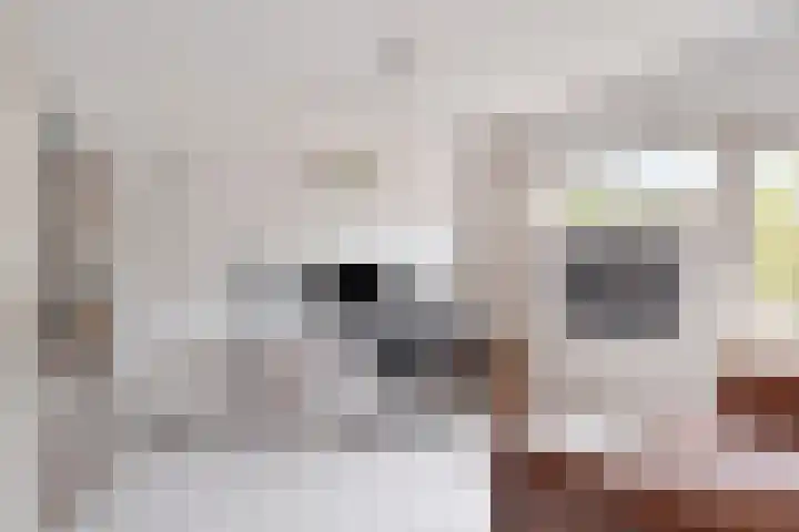 Werflaan 30 Zoetermeer thumbnail 21
