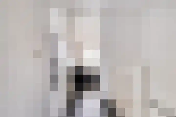 Werflaan 30 Zoetermeer thumbnail 23