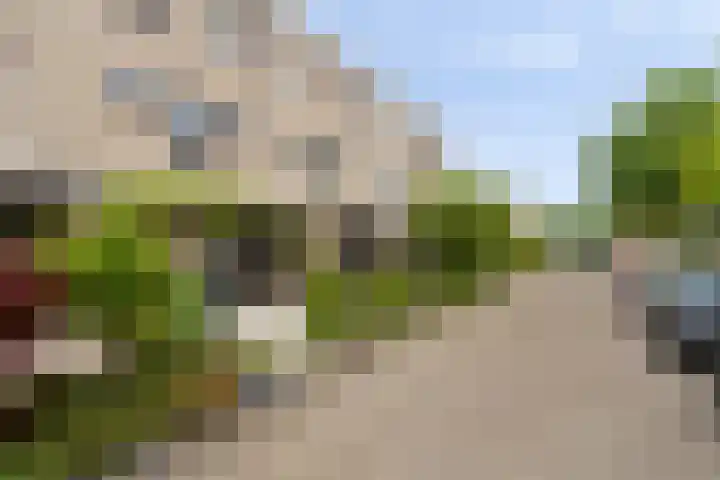 Werflaan 30 Zoetermeer thumbnail 31