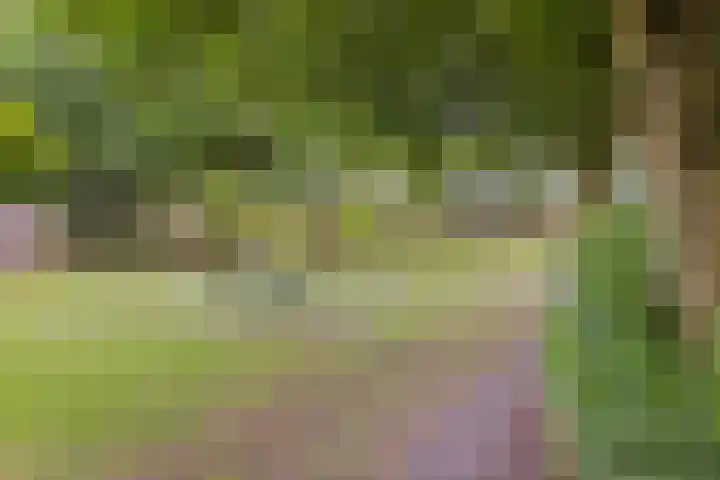 Werflaan 30 Zoetermeer thumbnail 35