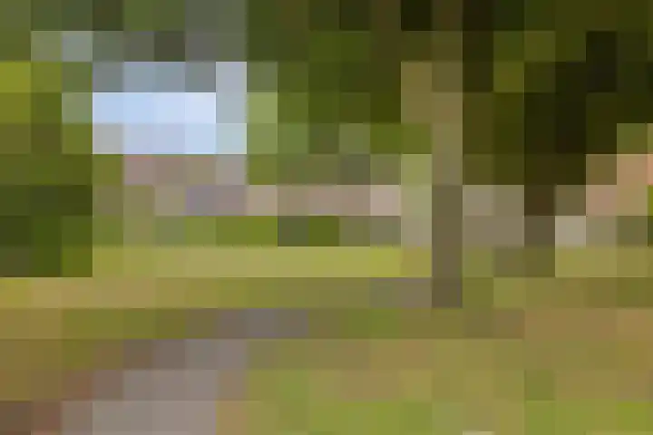 Werflaan 30 Zoetermeer thumbnail 36