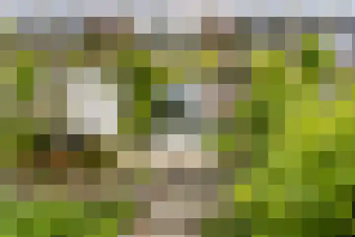 Werflaan 30 Zoetermeer thumbnail 4