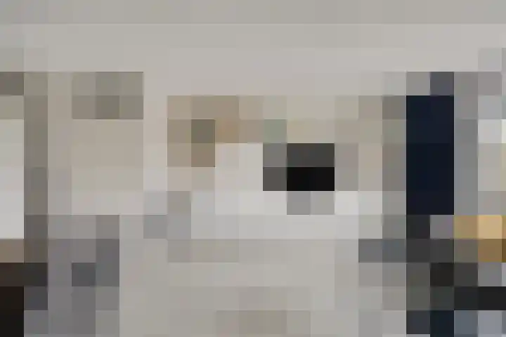 Werflaan 30 Zoetermeer thumbnail 8