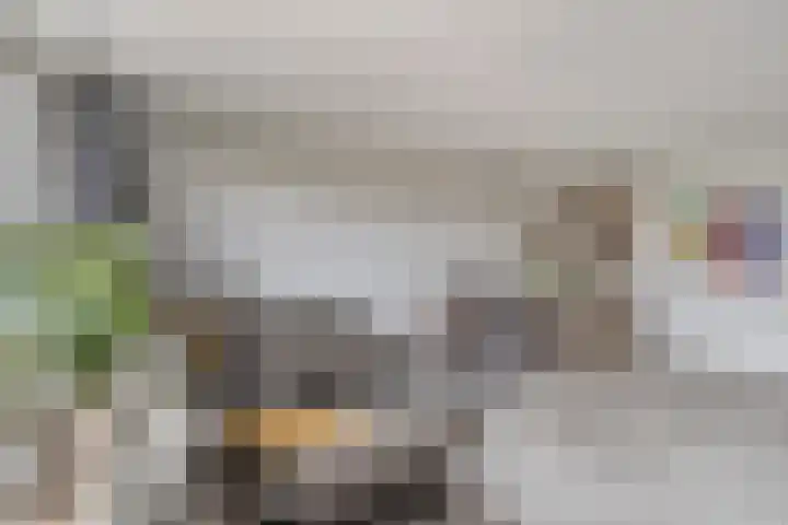 Werflaan 30 Zoetermeer thumbnail 9