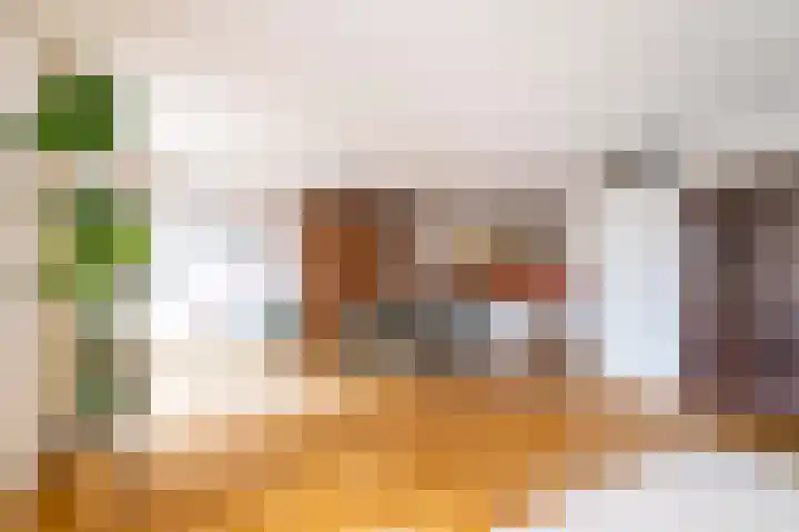 Werfpad 11 Delft thumbnail 11