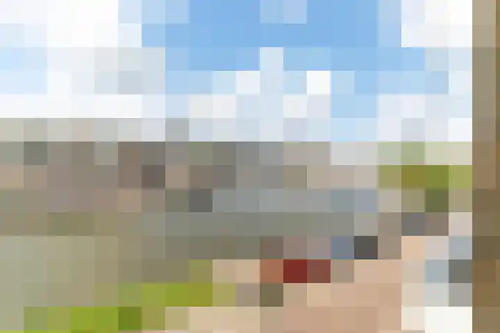 Werfpad 11 Delft thumbnail 17