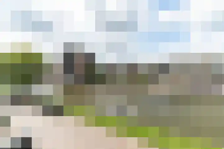 Werfpad 11 Delft thumbnail 18