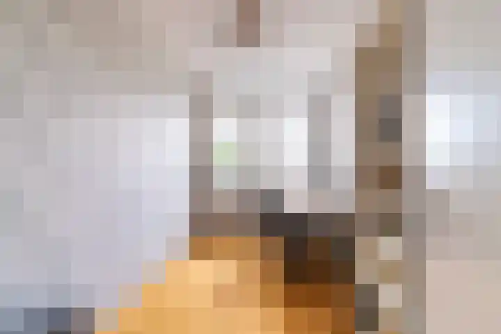 Werfpad 11 Delft thumbnail 19