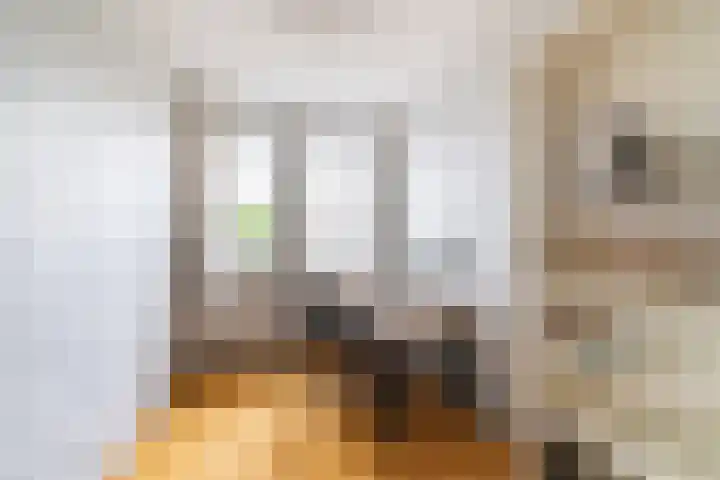 Werfpad 11 Delft thumbnail 20