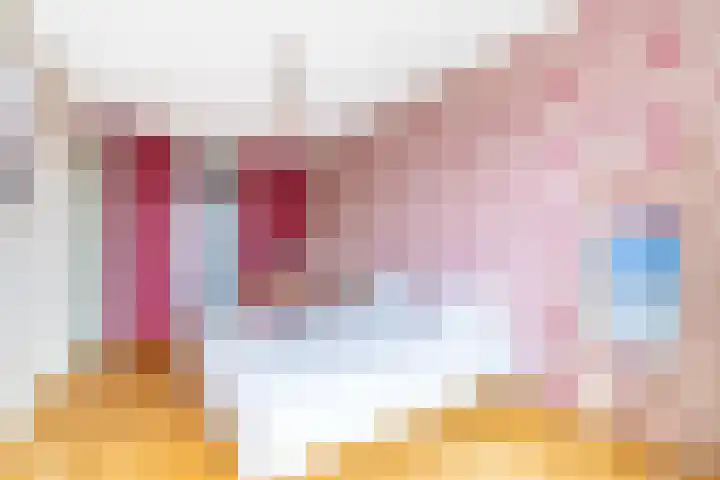 Werfpad 11 Delft thumbnail 23