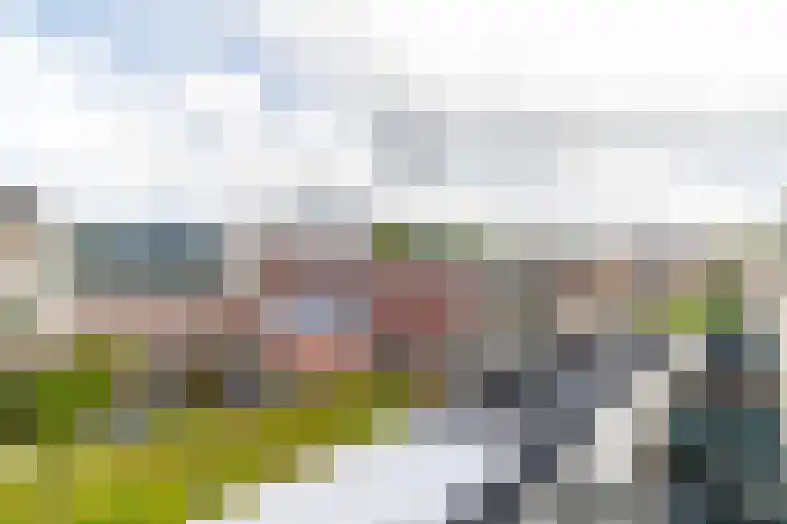 Werfpad 11 Delft thumbnail 27