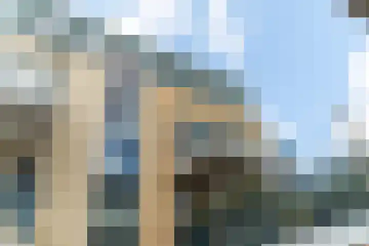 Werfpad 11 Delft thumbnail 34