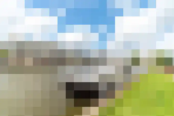 Werfpad 11 Delft thumbnail 35