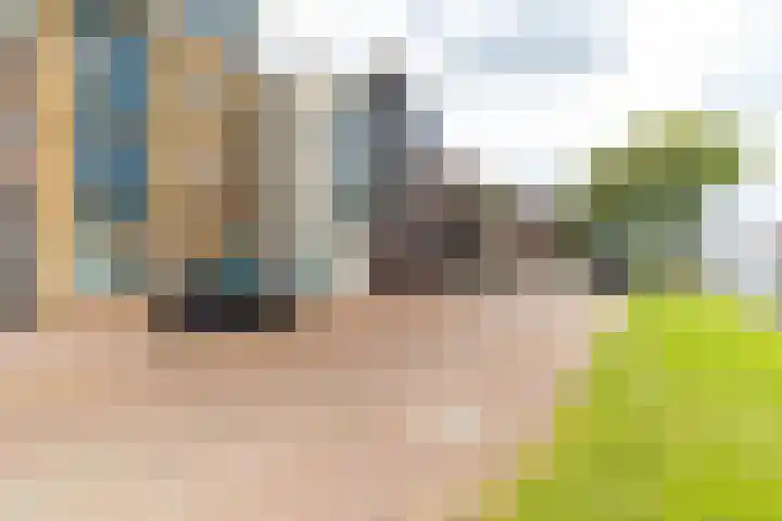 Werfpad 11 Delft thumbnail 37