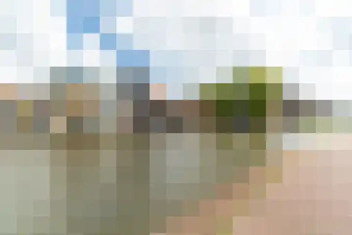 Werfpad 11 Delft thumbnail 38