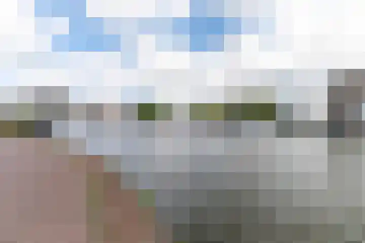 Werfpad 11 Delft thumbnail 39